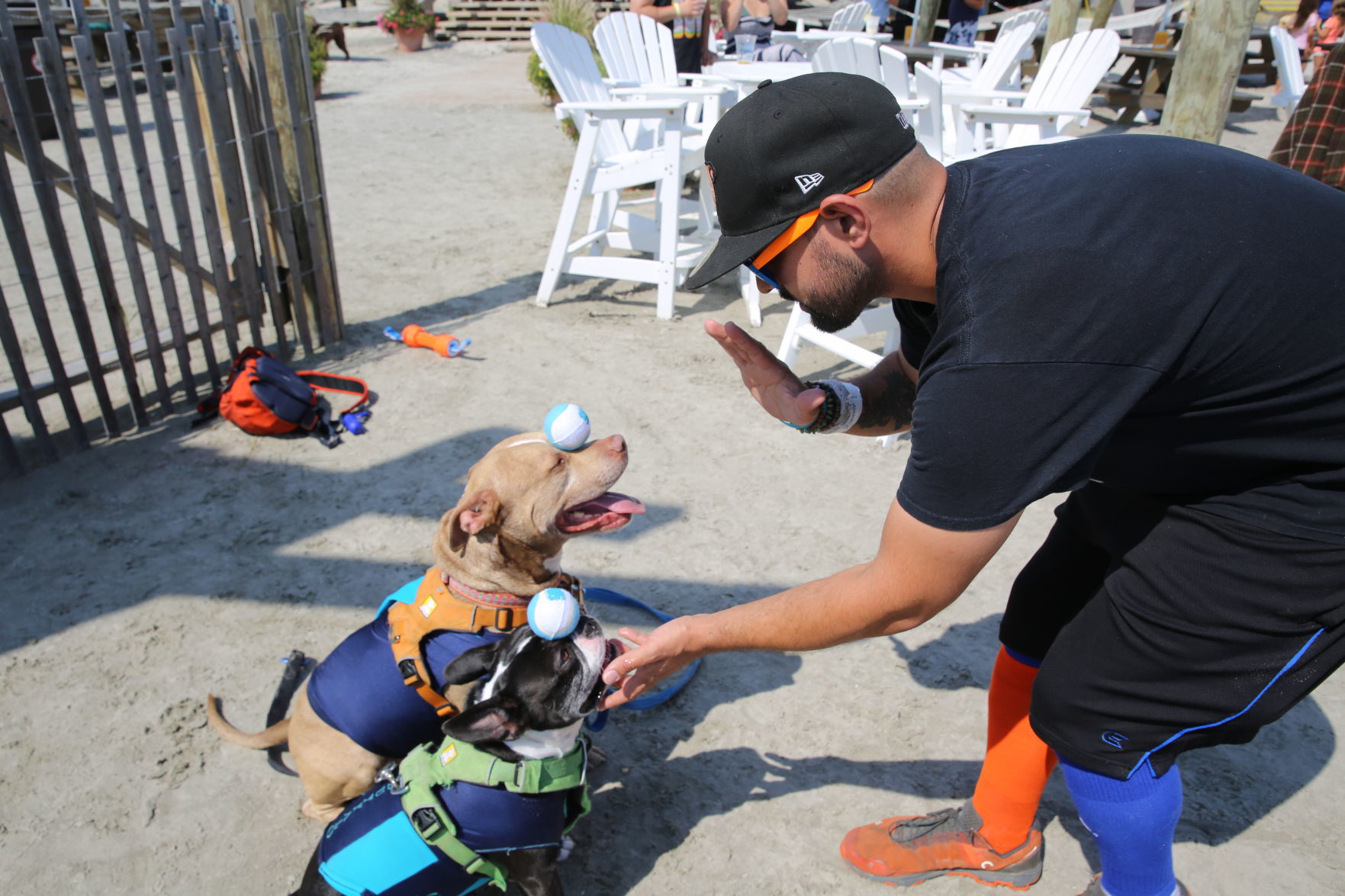 090919_gal_WWdogs (5)